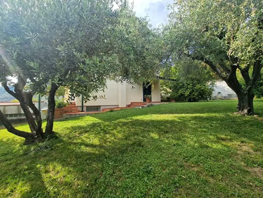 Immagine 31 di Villetta a schiera in vendita  a Carrara