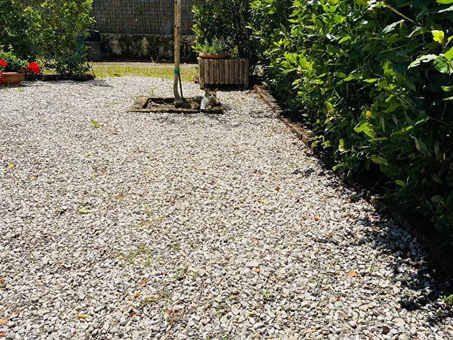 Immagine 11 di Appartamento in vendita  a Pontedera