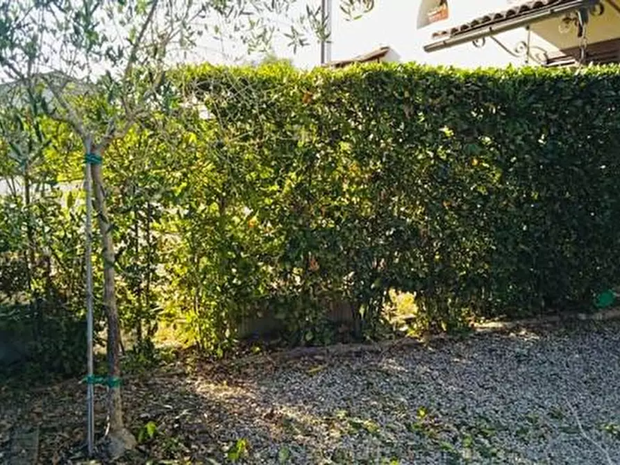 Immagine 12 di Appartamento in vendita  a Pontedera