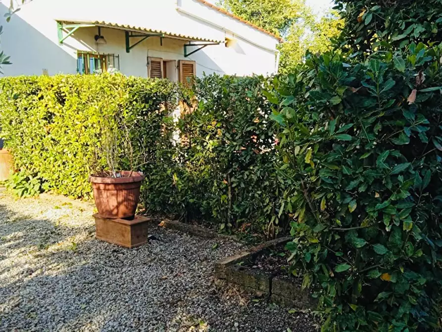 Immagine 10 di Appartamento in vendita  a Pontedera