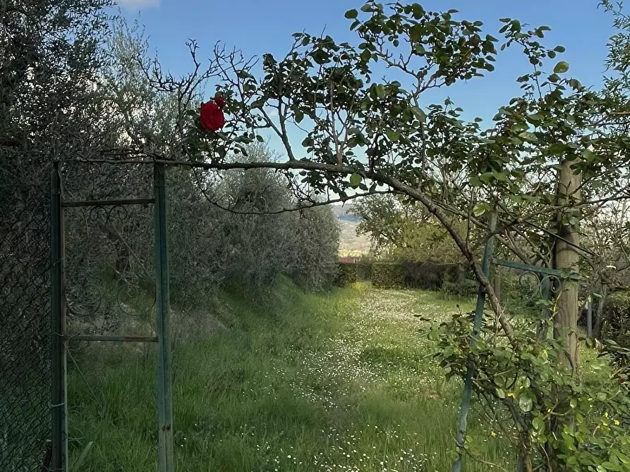 Immagine 101 di Villa in vendita  a Vinci