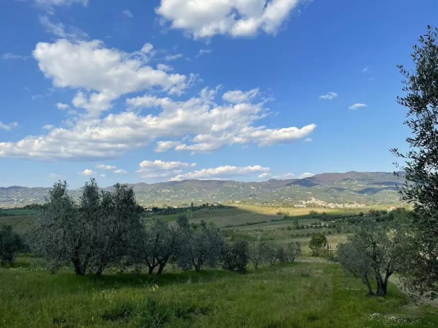 Immagine 8 di Villa in vendita  a Vinci