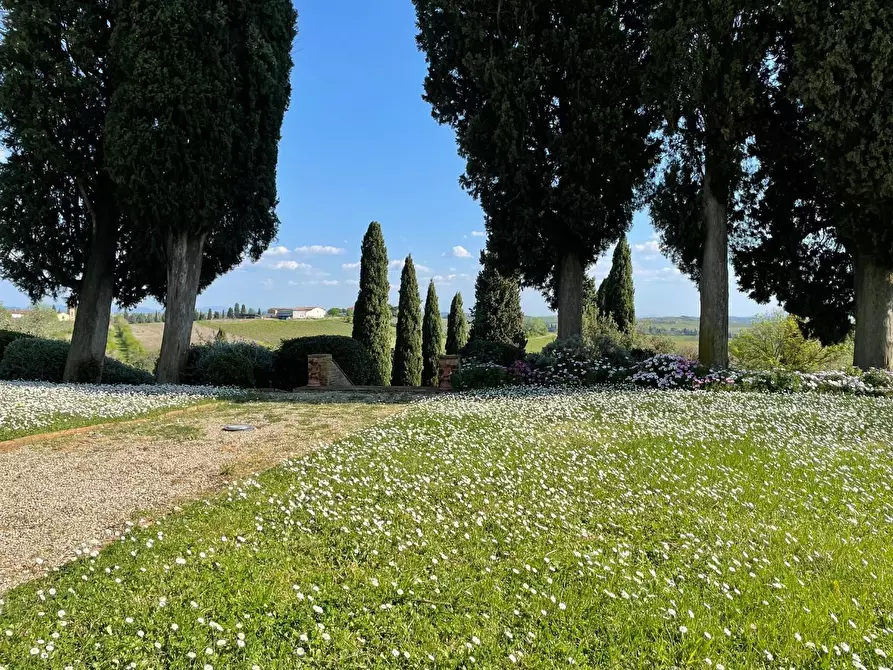 Immagine 76 di Villa in vendita  a Vinci
