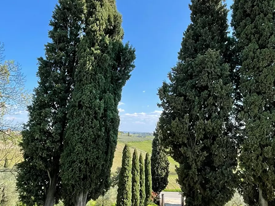 Immagine 50 di Villa in vendita  a Vinci