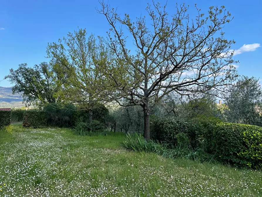 Immagine 104 di Villa in vendita  a Vinci