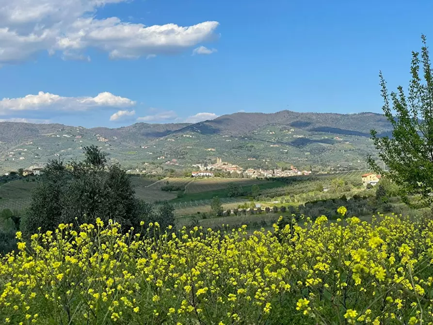 Immagine 2 di Villa in vendita  a Vinci