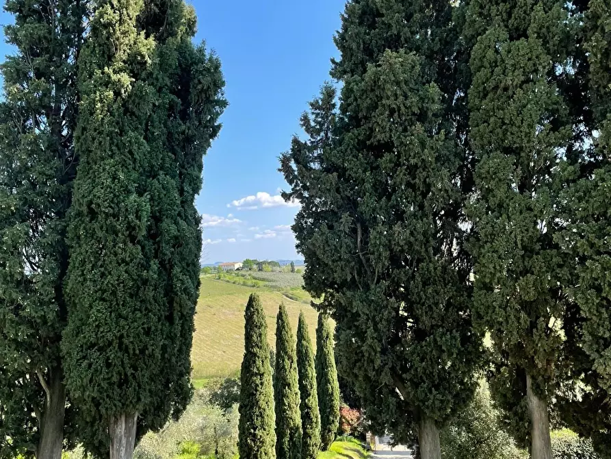 Immagine 26 di Villa in vendita  a Vinci