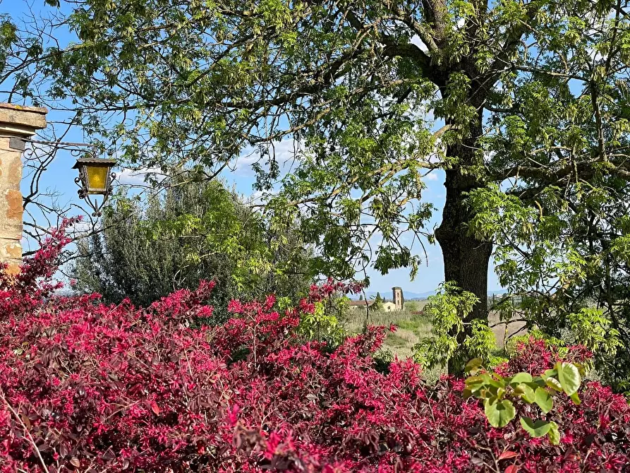 Immagine 80 di Villa in vendita  a Vinci