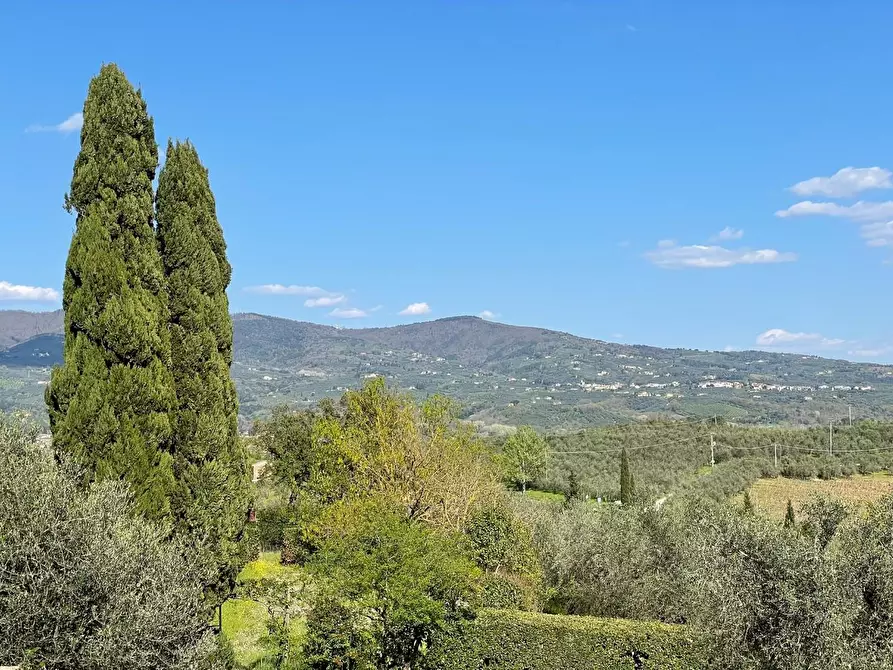 Immagine 60 di Villa in vendita  a Vinci