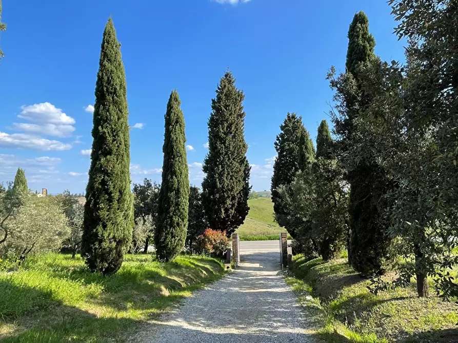 Immagine 63 di Villa in vendita  a Vinci