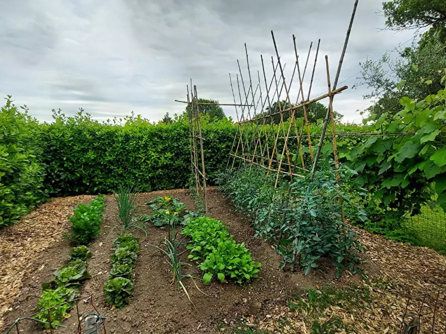 Immagine 20 di Casa trifamiliare in vendita  a Montecarlo
