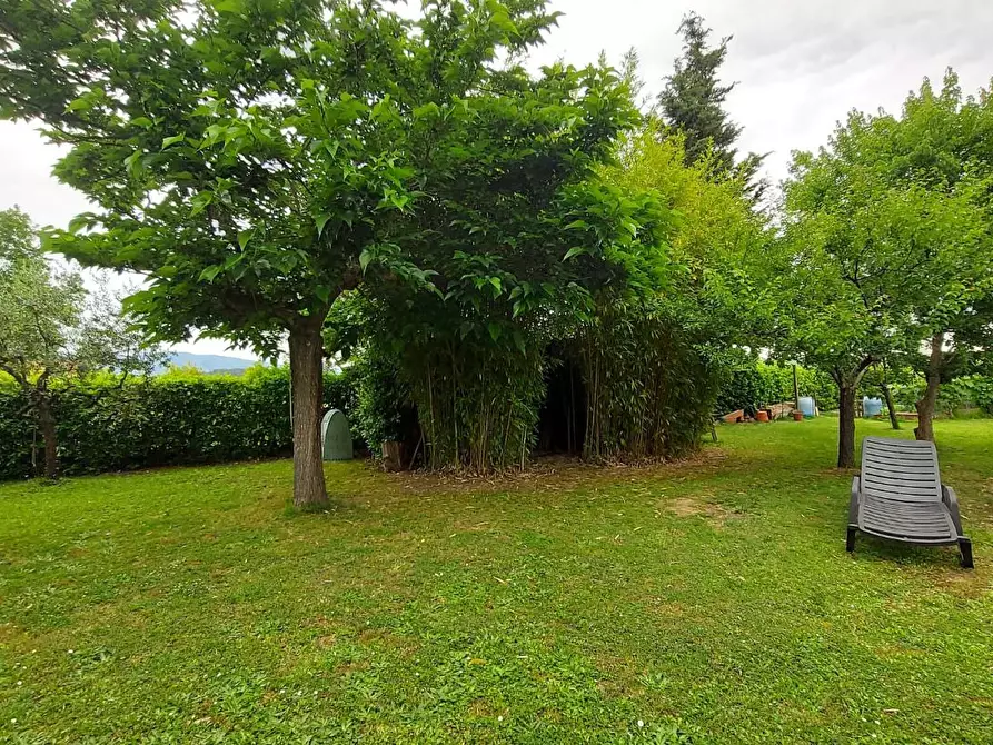 Immagine 17 di Casa trifamiliare in vendita  a Montecarlo