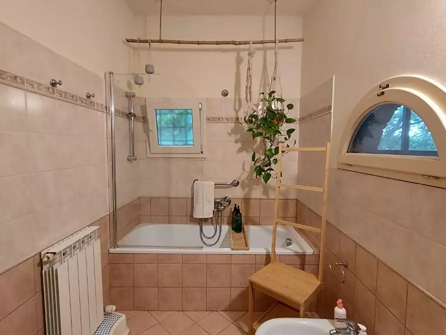 Immagine 35 di Casa trifamiliare in vendita  a Montecarlo