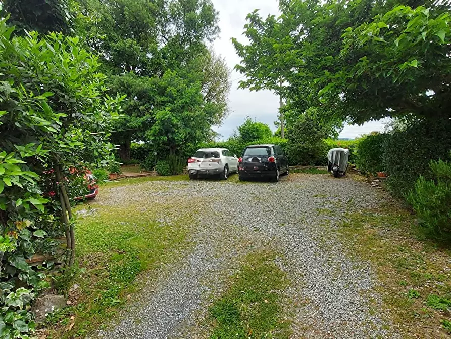 Immagine 27 di Casa trifamiliare in vendita  a Montecarlo