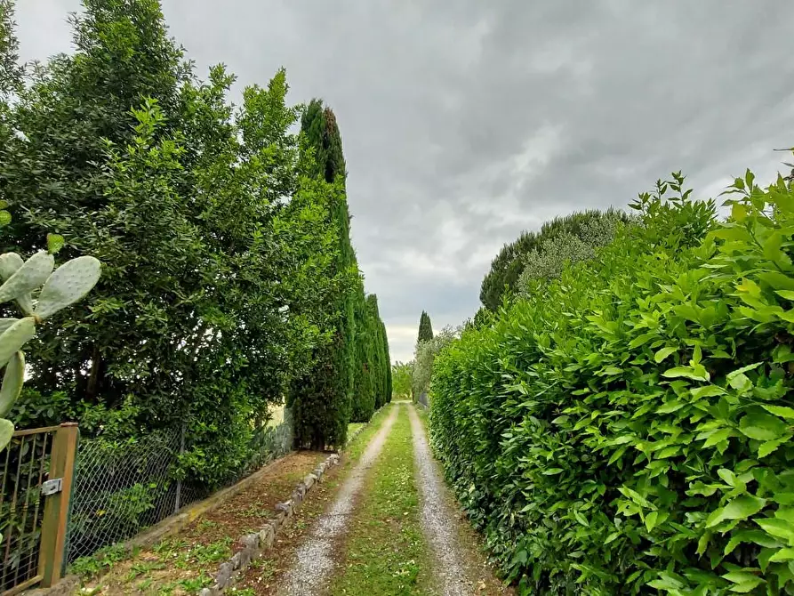 Immagine 26 di Casa trifamiliare in vendita  a Montecarlo
