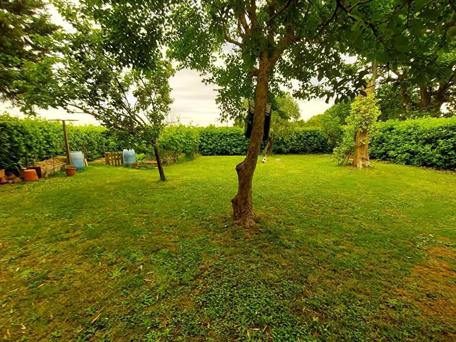 Immagine 18 di Casa trifamiliare in vendita  a Montecarlo