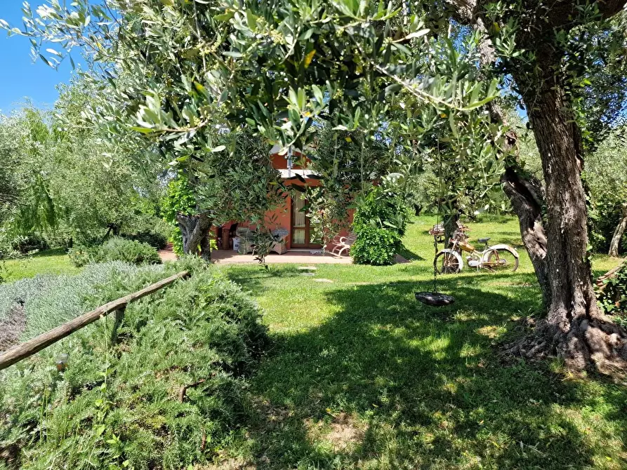 Immagine 54 di Casa indipendente in vendita  a Casciana Terme Lari