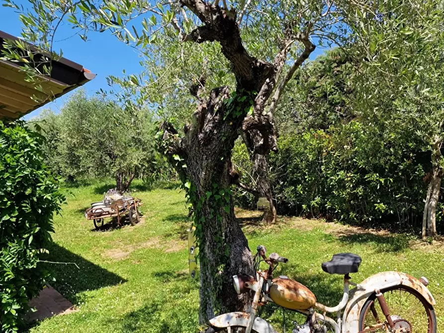 Immagine 11 di Casa indipendente in vendita  a Casciana Terme Lari