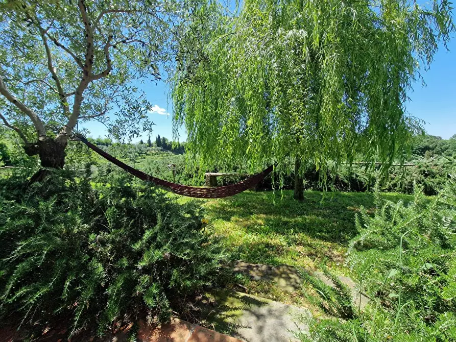Immagine 50 di Casa indipendente in vendita  a Casciana Terme Lari