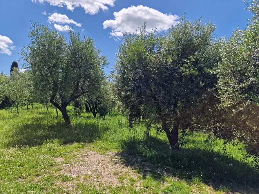 Immagine 58 di Casa indipendente in vendita  a Casciana Terme Lari