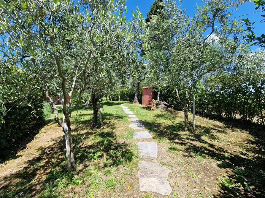 Immagine 57 di Casa indipendente in vendita  a Casciana Terme Lari