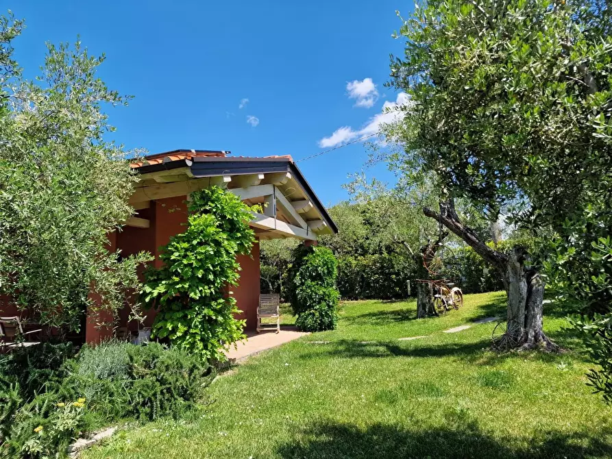 Immagine 6 di Casa indipendente in vendita  a Casciana Terme Lari