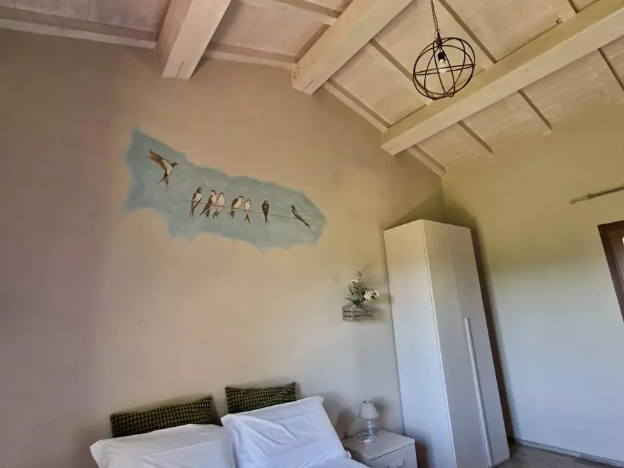 Immagine 36 di Casa indipendente in vendita  a Casciana Terme Lari