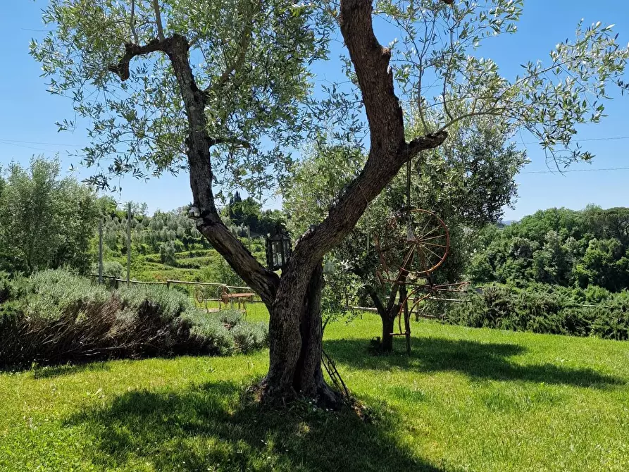 Immagine 49 di Casa indipendente in vendita  a Casciana Terme Lari