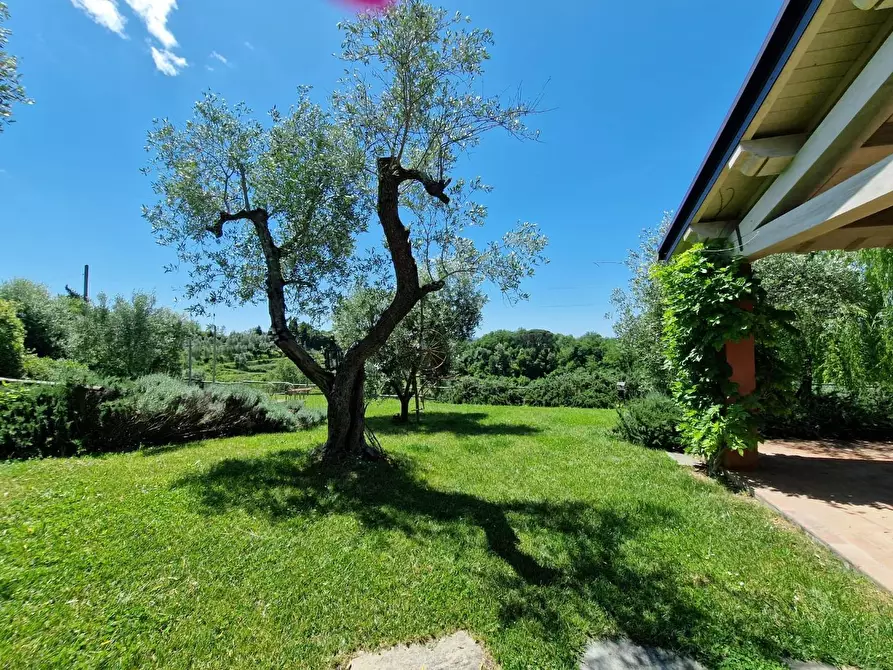 Immagine 7 di Casa indipendente in vendita  a Casciana Terme Lari