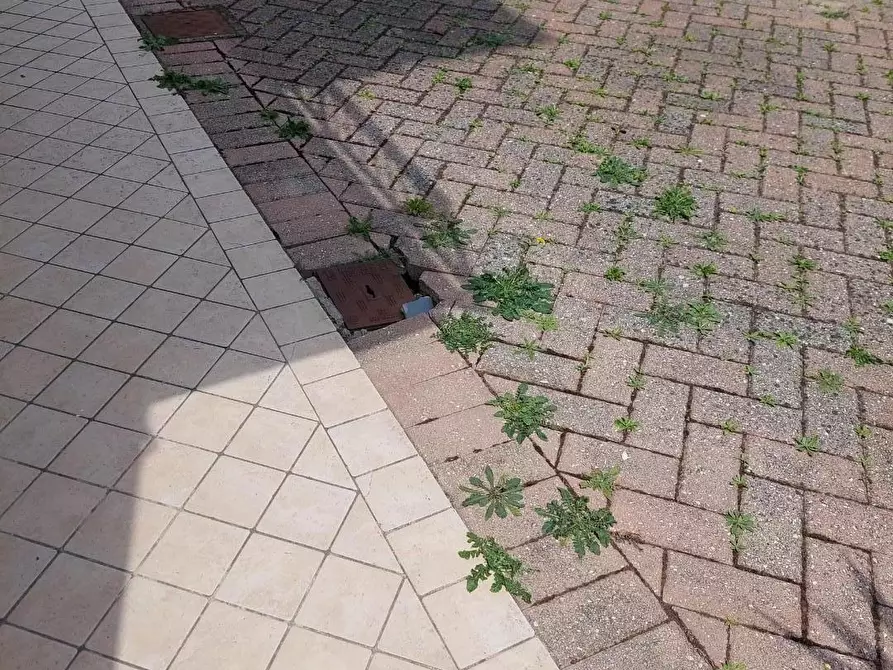 Immagine 2 di Appartamento in vendita  a Castelfranco Di Sotto