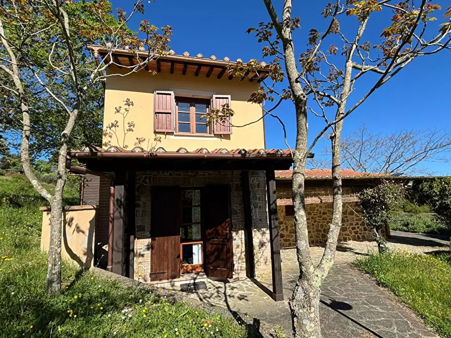 Immagine 1 di Rustico / casale in vendita  a Chianni