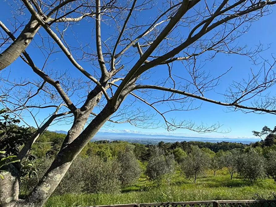 Immagine 9 di Rustico / casale in vendita  a Chianni