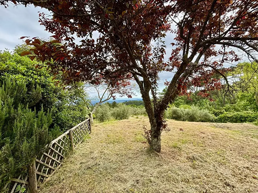 Immagine 15 di Rustico / casale in vendita  a Chianni