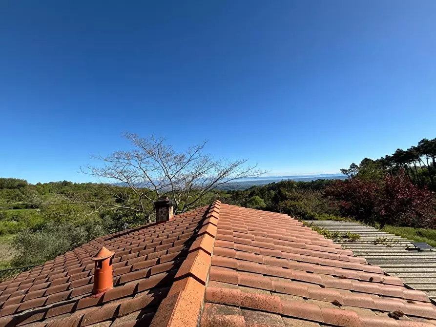 Immagine 7 di Rustico / casale in vendita  a Chianni