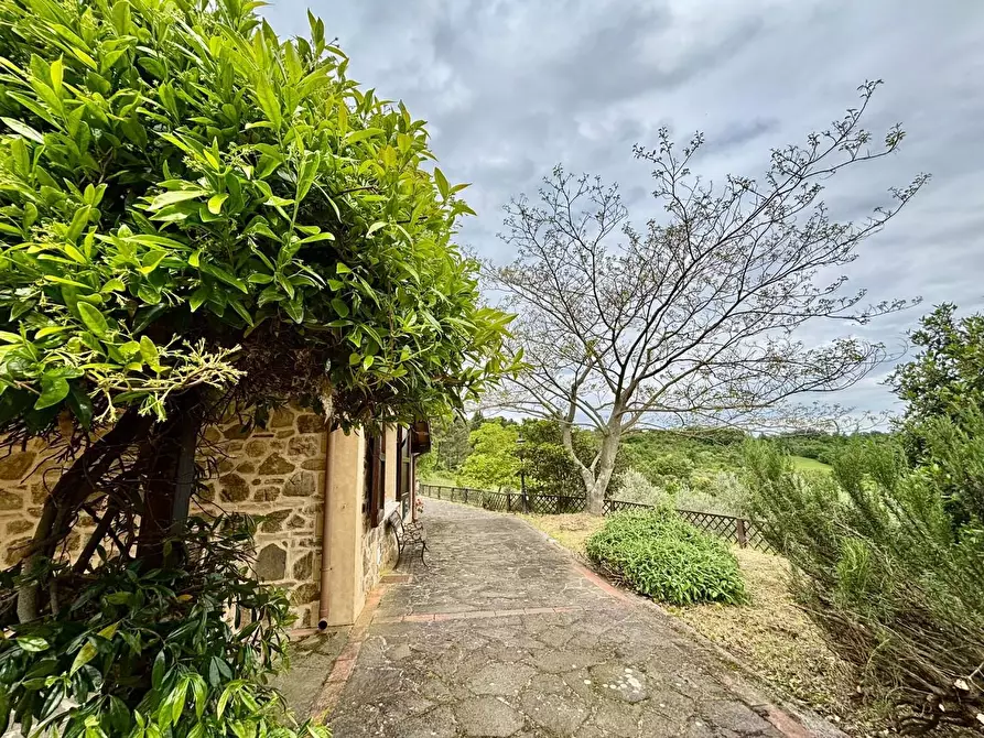Immagine 14 di Rustico / casale in vendita  a Chianni