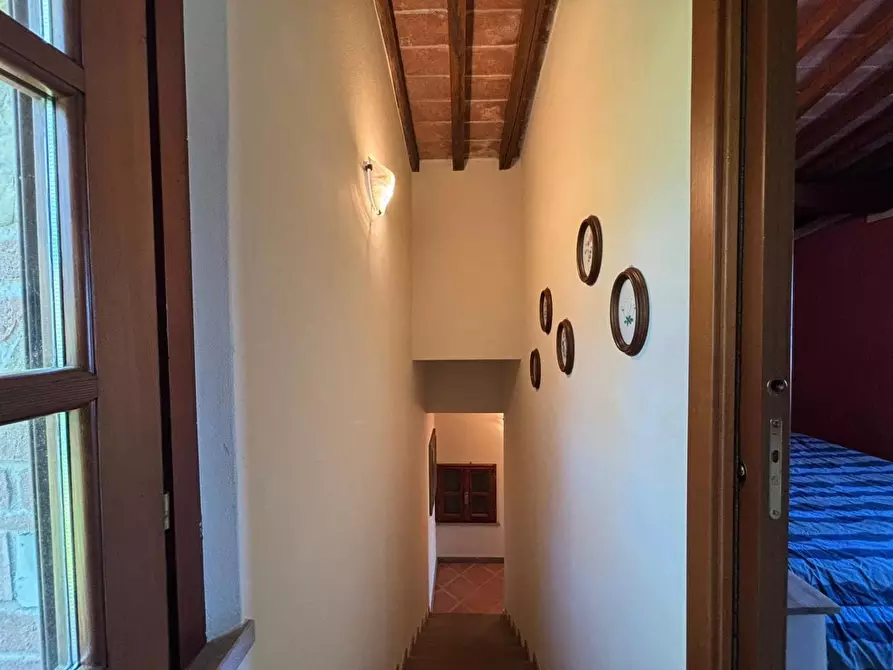 Immagine 28 di Rustico / casale in vendita  a Chianni