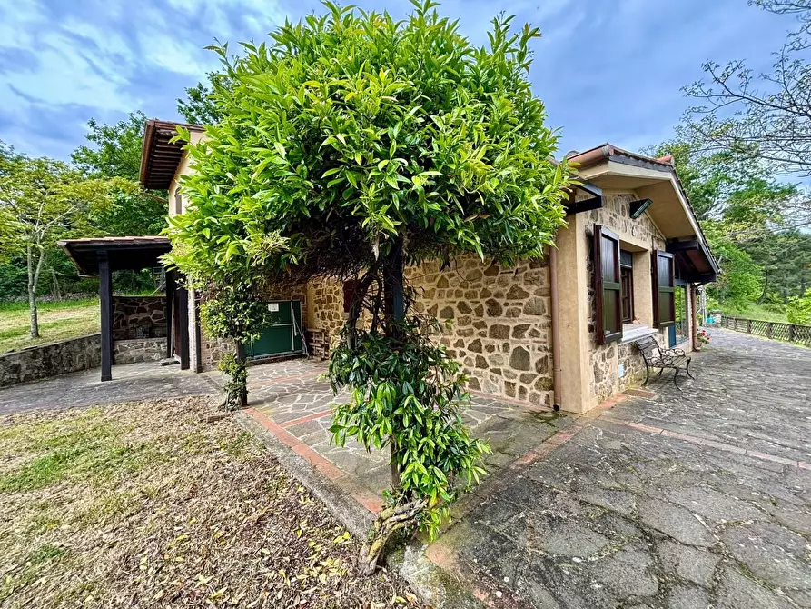 Immagine 8 di Rustico / casale in vendita  a Chianni