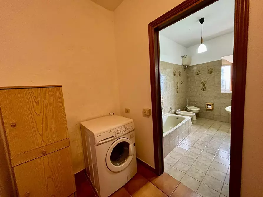 Immagine 17 di Terratetto in vendita  a Lajatico