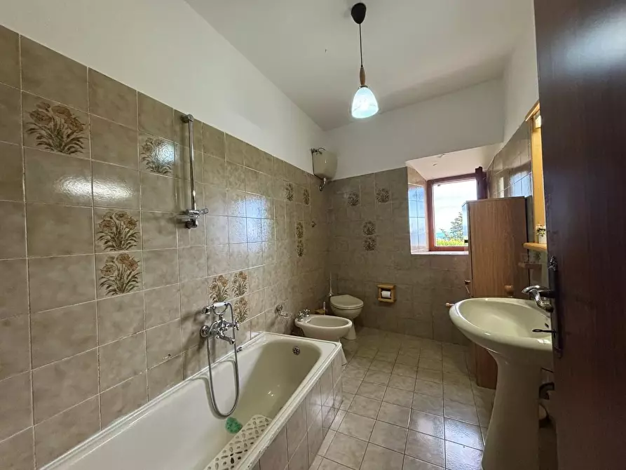 Immagine 18 di Terratetto in vendita  a Lajatico