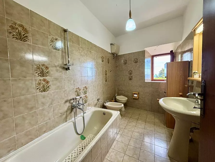 Immagine 19 di Terratetto in vendita  a Lajatico