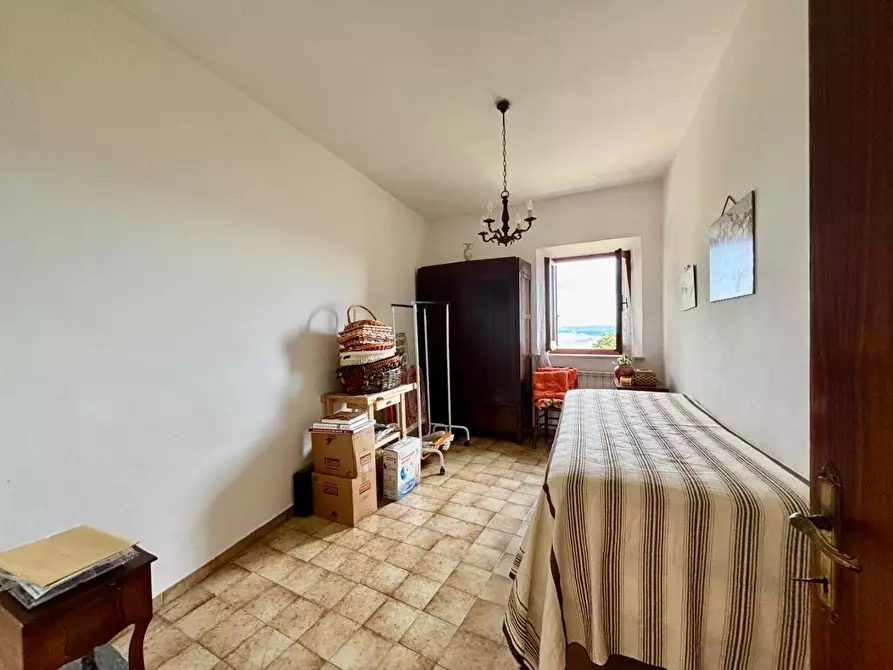 Immagine 12 di Terratetto in vendita  a Lajatico