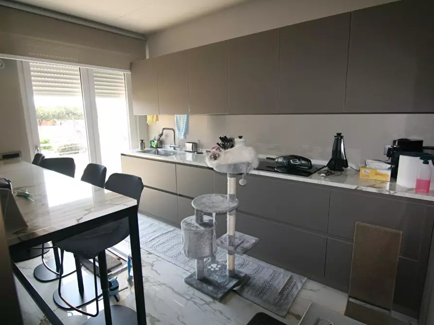 Immagine 17 di Appartamento in vendita  a Carrara