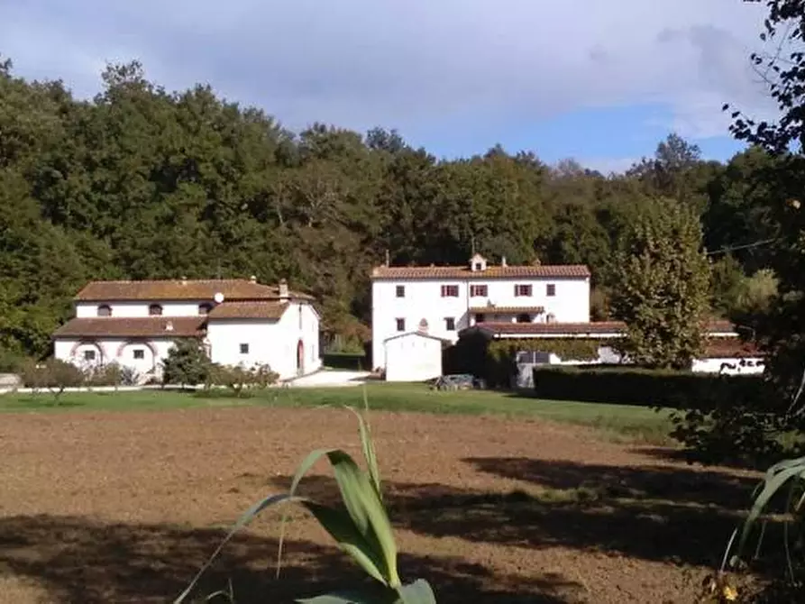 Immagine 2 di Appartamento in vendita  a Calcinaia