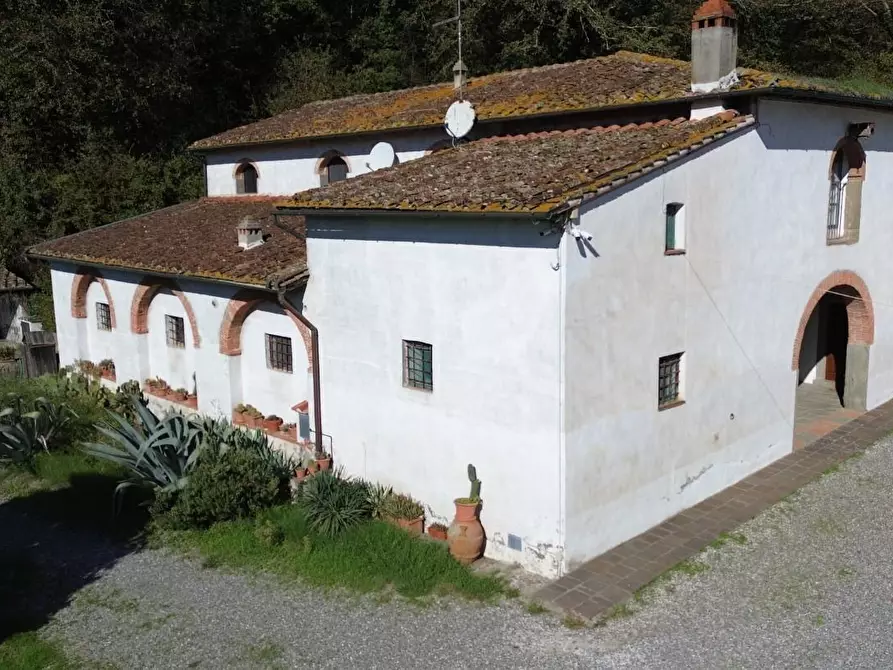 Immagine 5 di Appartamento in vendita  a Calcinaia