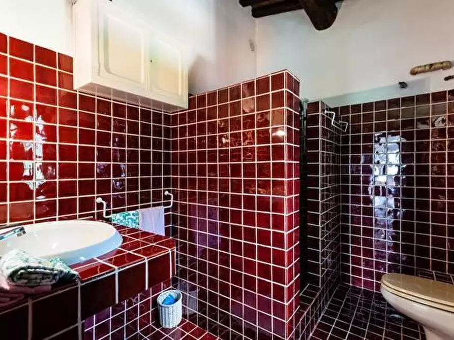 Immagine 10 di Appartamento in vendita  a Calcinaia