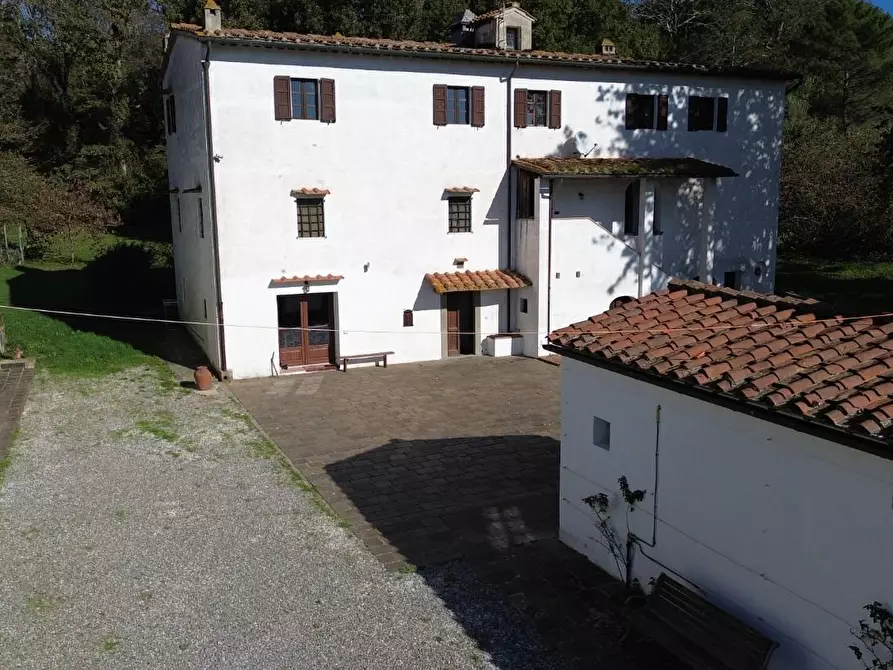 Immagine 4 di Appartamento in vendita  a Calcinaia