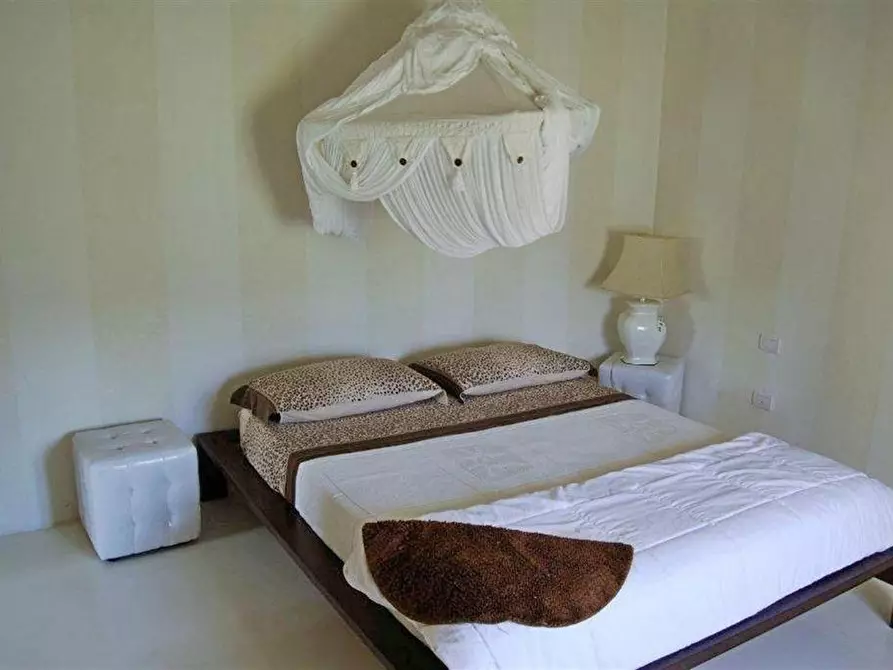 Immagine 37 di Casa colonica in vendita  a Lucca