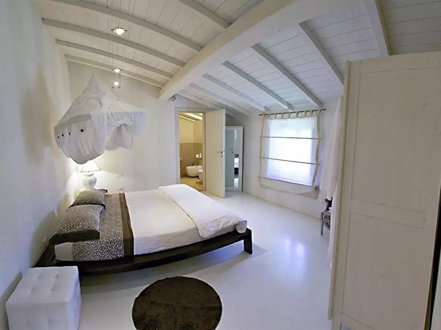 Immagine 62 di Casa colonica in vendita  a Lucca