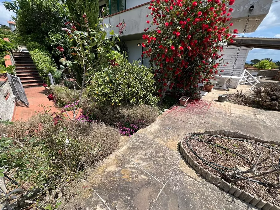 Immagine 13 di Villetta a schiera in vendita  a Guardistallo