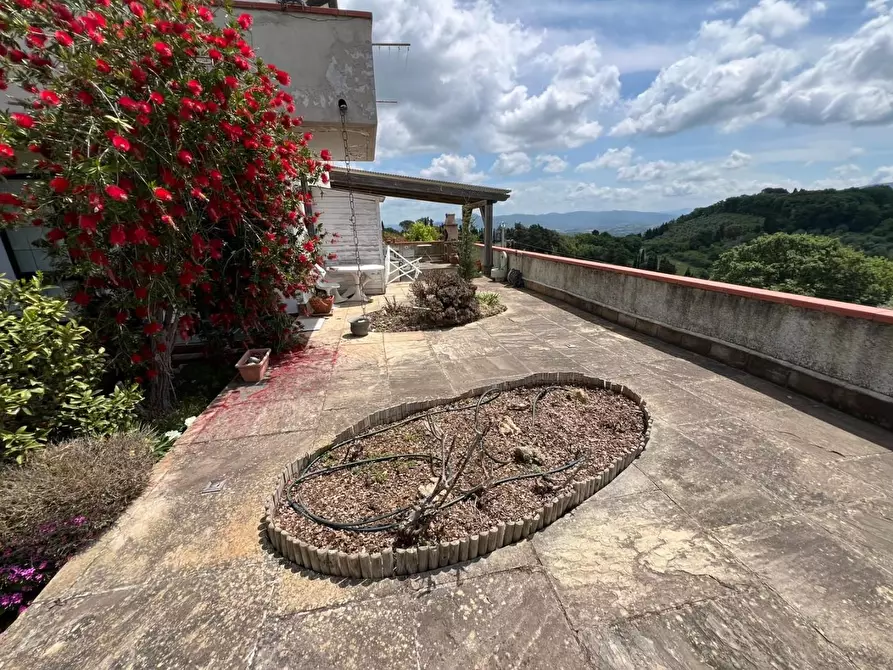 Immagine 14 di Villetta a schiera in vendita  a Guardistallo